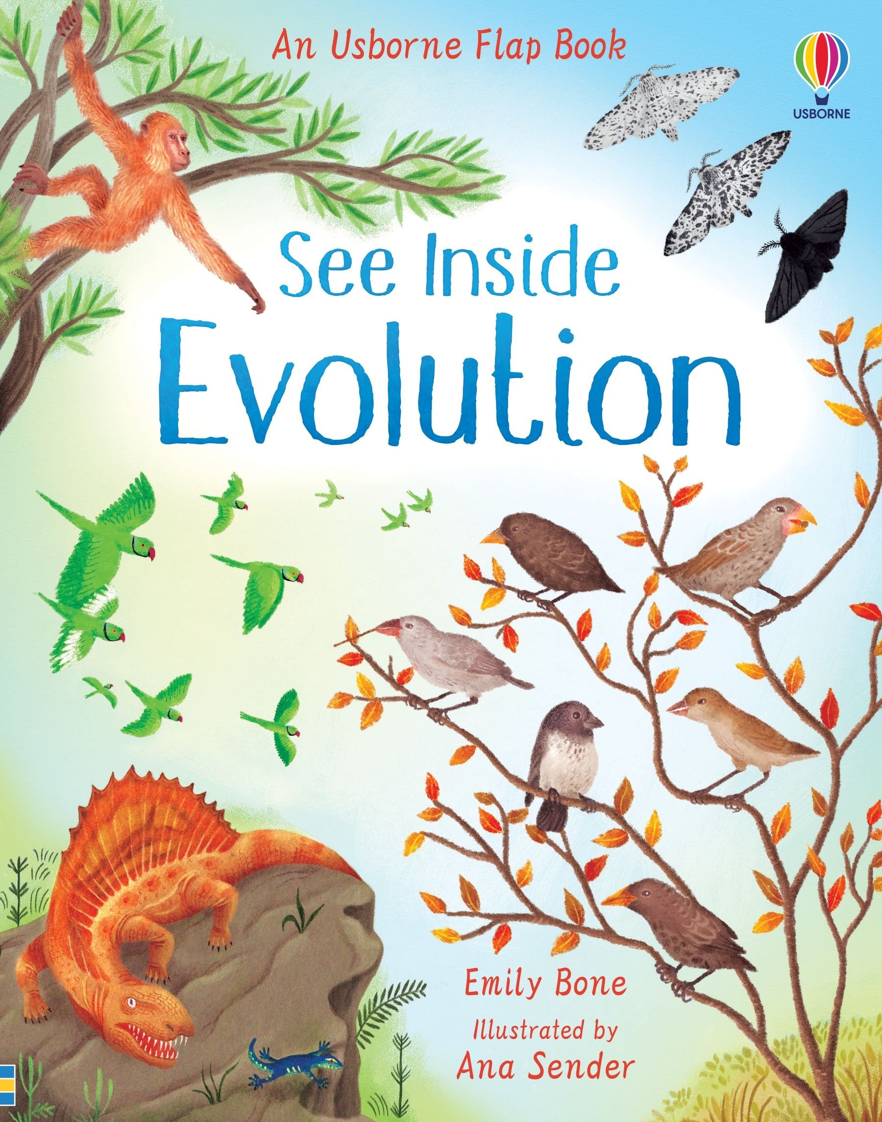 See inside Evolution